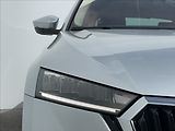 Škoda Octavia 2,0 TDI DSG Ambition Plus KESS - náhled 21