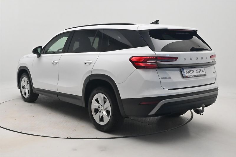 Škoda Kodiaq 2,0 TDI 142 kW Selection 4x4 T - fotka 7 z 31