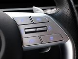 Hyundai Staria 2,2 CRDi 130kW Luxury 4x4 AUT - náhled 22