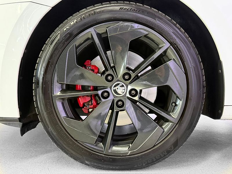 Škoda Octavia 2.0TDI DSG 4X4 RS, ACC, LED, K - fotka 8 z 27