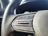 Hyundai Santa Fe 2.2 CRDI/142kW Luxury PNM DCT - náhled 30