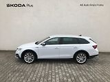 Škoda Octavia (2022) COM SCO TD 110/2.0 A7F - náhled 2