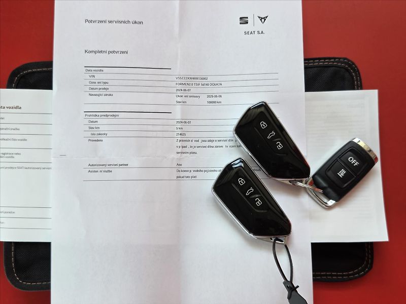 Cupra Formentor 2,0 TSi DSG 4x4 Matrix Záruka2 - fotka 7 z 23