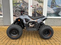 Linhai (2026) ATV 110 - fotografie inzerátu