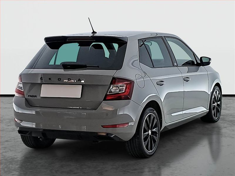 Škoda Fabia (2021) Monte Carlo 1.0 TSI, Kůže - fotka 5 z 17