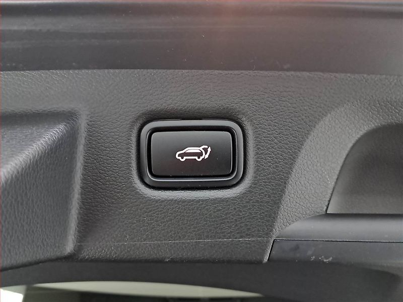 Kia Pro_Ceed (2023) GT 1.6 T-GDI MHEV - fotka 16 z 17