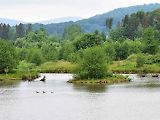 Pro ornitologa ráj, pro běžného turistu zážitek. To je Dračí jezero.