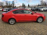 Škoda Octavia (2019) III 1.6 TDi ČR - náhled 2