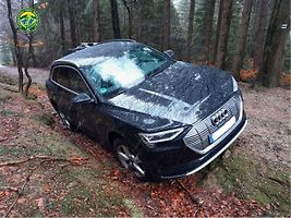 Cizinec chtěl autem do Česka přes národní park, jízda mu skončila uprostřed lesa