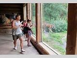 Expozice se šelmami v zoo v polské Poznani.