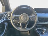 Mazda CX-60 (2025) D254/8AT/AWD/HOMURA/COSO - náhled 12