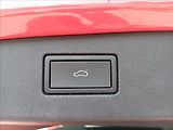 Volkswagen Tiguan 2,0 TDi 142kW 7DSG 4Motion R-L - náhled 14