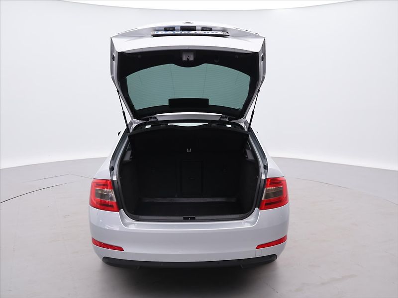 Škoda Octavia 1.8 TSI 132kW DSG Elegance CZ - fotka 9 z 24