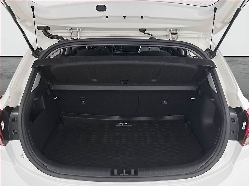 Kia Rio (2023) 1.2 DPI, ČR,1.maj - fotka 13 z 16