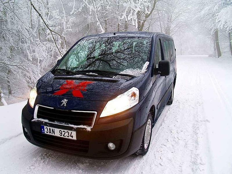 Peugeot Partner Tepee 4x4 Dangel.