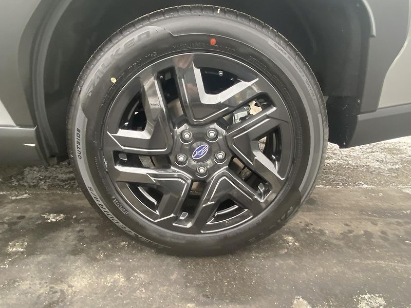 Subaru Forester FIELD SLEVA !!!!! - fotka 16 z 16
