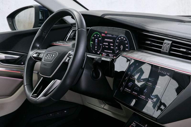 Audi e-tron 55 300kW S-Line Tažné Panorama - fotka 18 z 47