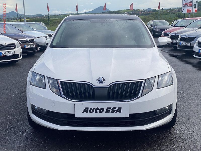 Škoda Octavia (2018) 2.0 TDi, ČR, AC, temp. - fotka 2 z 14