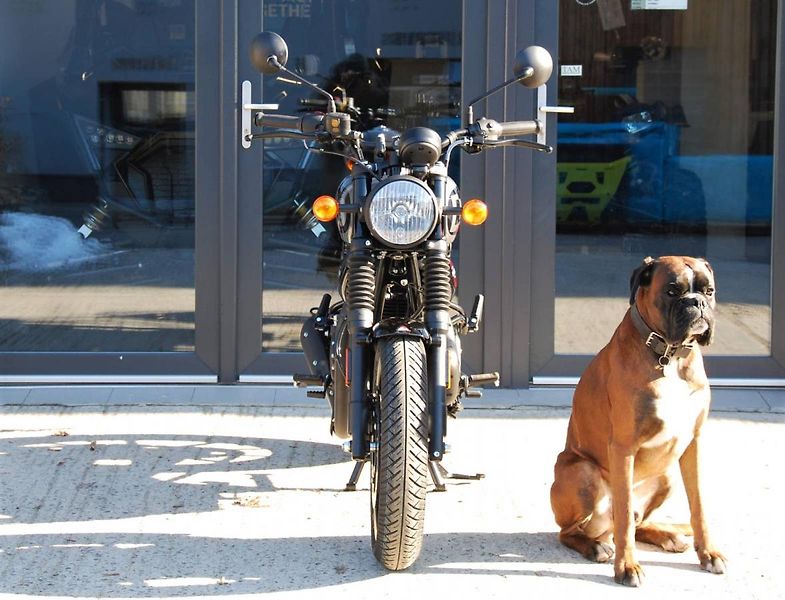 Royal Enfield HNTR 350 (2026) - fotka 7 z 25