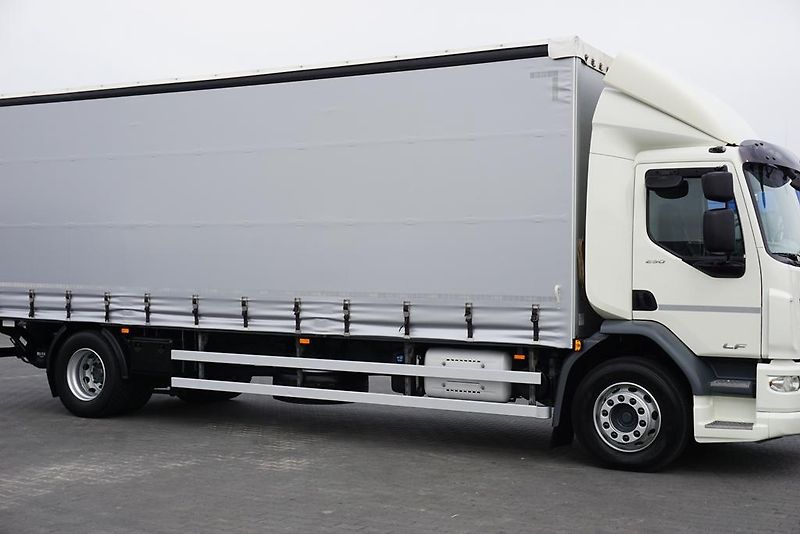 DAF LF (2019) 290 / E 6 / FIRANKA + WINDA /  - fotka 16 z 44