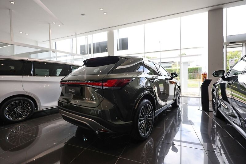 Lexus RX 450h+ 2.5 PHEV LUXURY PANORAMI - fotka 5 z 10