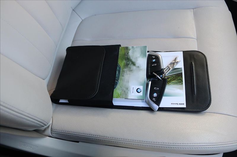 BMW X5 2,0 xDrive25d,ČR, 1. Majitel - fotka 39 z 59