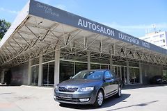 Škoda Octavia 1. majitel, servis jen Škoda ! - fotografie inzerátu