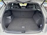 Škoda Kodiaq (2025) 2.0 TDI 4x4 DSG Sportline - náhled 29