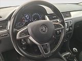 Škoda Rapid (2014) 1.2 TSI, ČR,1.maj, Tempomat - náhled 15