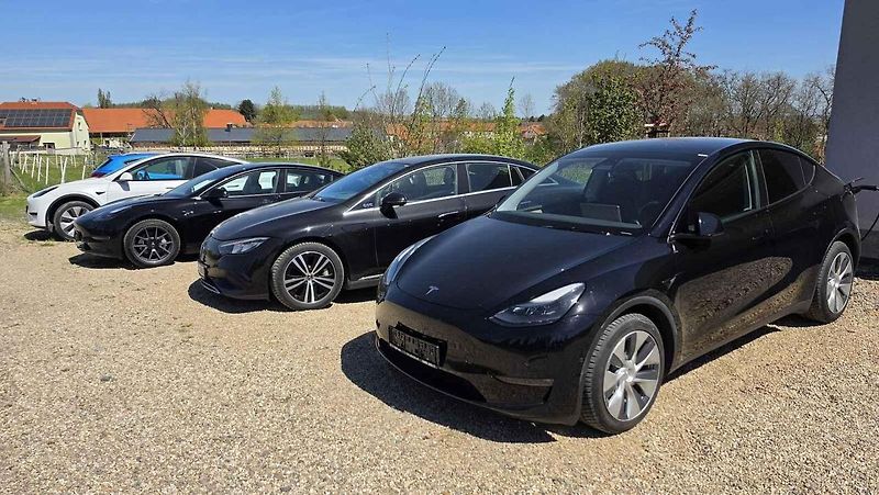 Dovoz elektromobilů se zvýšil.