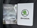 Škoda Kodiaq 2,0 TDI DSG Style NAVI+ACC - náhled 19