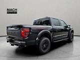 Ford F-150 (2026) Raptor - náhled 3