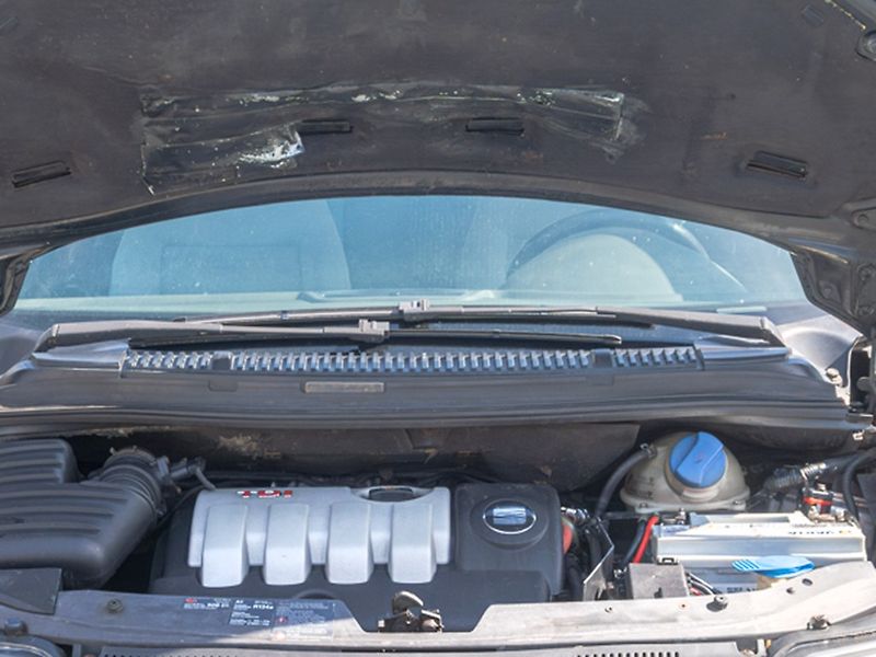 Seat Alhambra (2003) 1.9TDI 96KW – 7 SEDADEL - fotka 36 z 39
