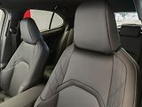 Lexus UX 300h 300h 4x2 F Sport Design - náhled 18