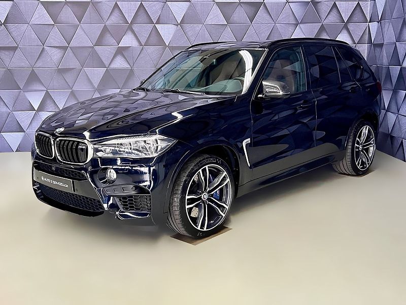 BMW X5 423KW INDIVIDUAL, PANORAMA - fotografie inzerátu