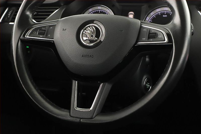 Škoda Octavia (2019) 1.5 TSI, ČR,1.maj, Tempomat - fotka 8 z 19