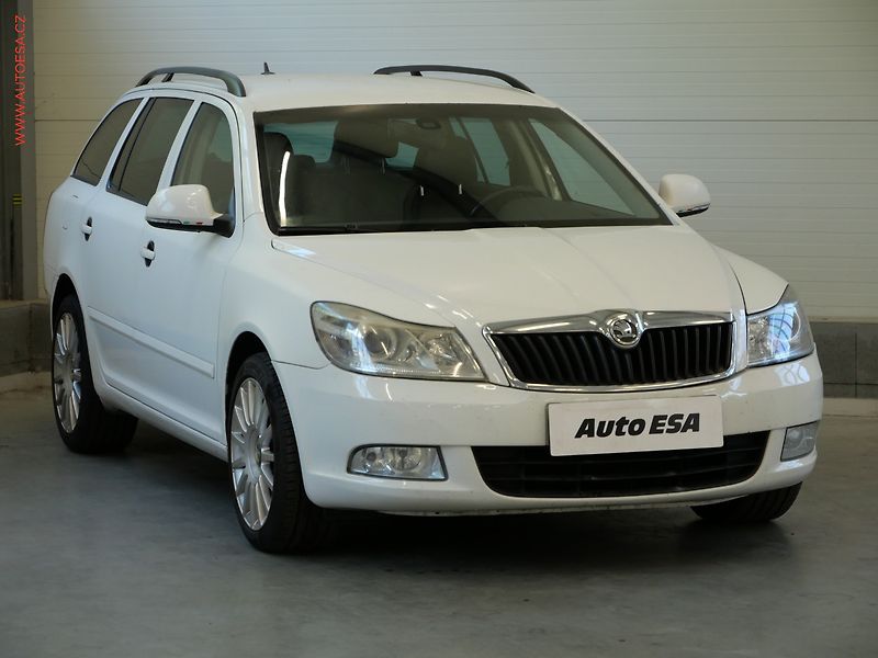Škoda Octavia (2009) 1.9tdi, Elegance - fotografie inzerátu