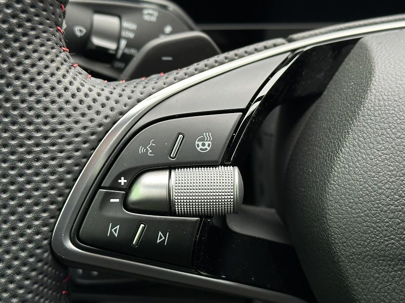 Škoda Kodiaq RS DSG 4x4 265PS Matrix-LED He - fotka 16 z 36