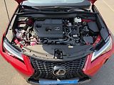 Lexus UX 300h F SPORT automat. navigace - náhled 12