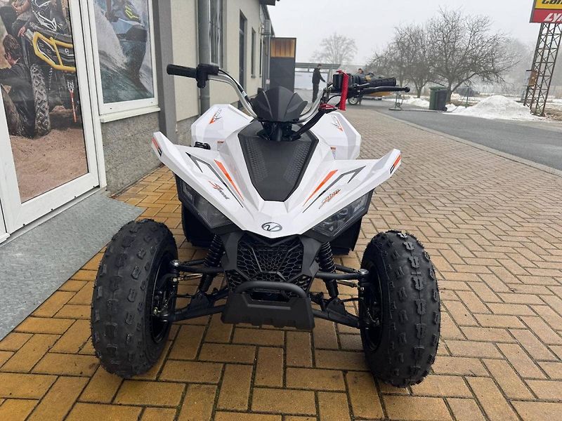 Linhai (2026) ATV 110 - fotka 3 z 6