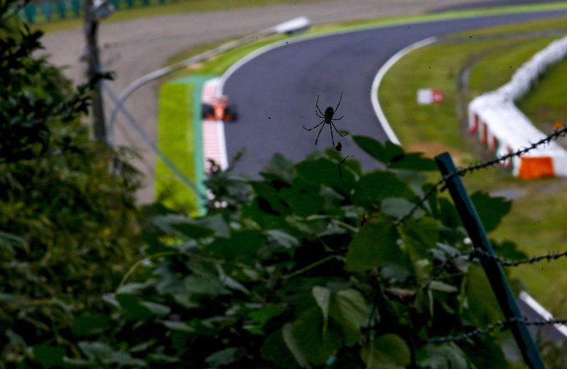 F1 start