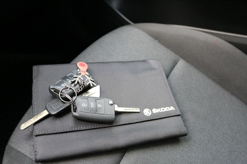 Škoda Fabia 1,0 ČR, 1. Majitel - fotka 30 z 33