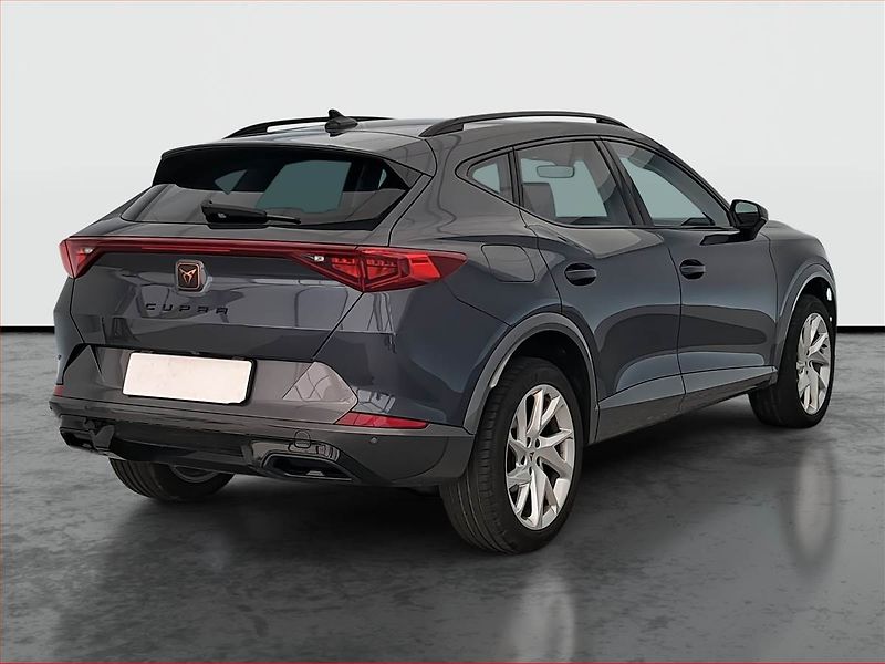 Cupra Formentor (2024) 2.0 TSI 4Drive - fotka 5 z 21
