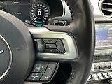 Ford Mustang 5,0 V8 331kW - CZ - AUTOMAT - náhled 22