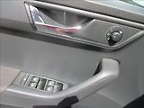 Škoda Fabia 1,0 TSI, serviska,DPH,1.maj,CZ - náhled 30