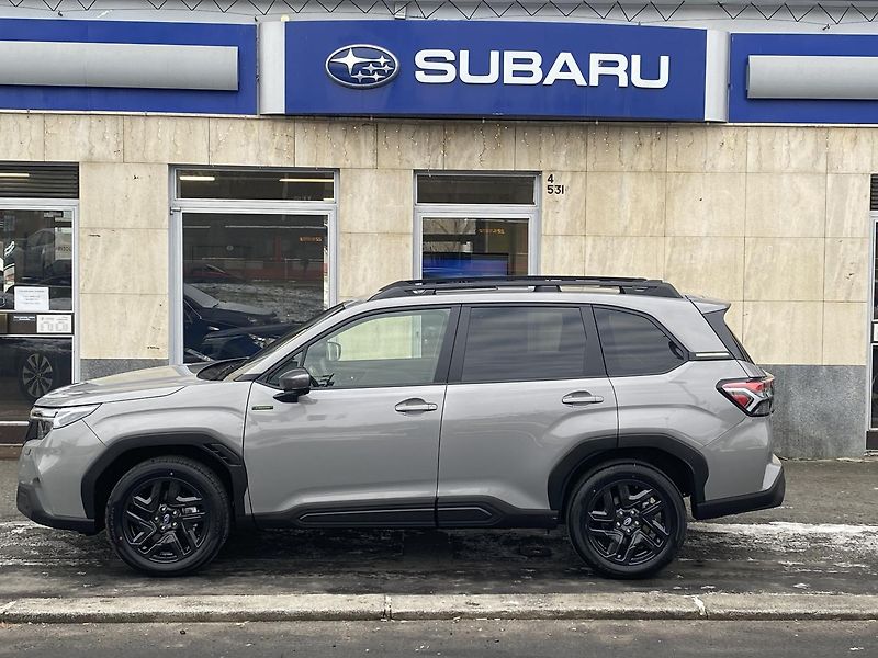 Subaru Forester FIELD SLEVA !!!!! - fotka 8 z 16