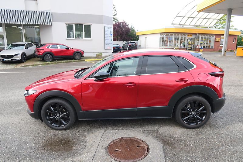 Mazda CX-30 2,0 G122 Homura ČR, záruka - fotka 9 z 31