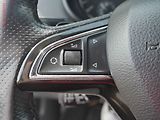 Škoda Octavia (2014) 2.0TDi, ČR, Style, DSG, navi - náhled 13