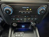 Ford Ranger (2022) Wildtrak 2.0 EB D.Cab 4x4 TZ - náhled 13