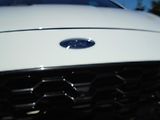 Ford S-MAX 2,0EcoBlue 140kW AWD ST-Line A - náhled 11